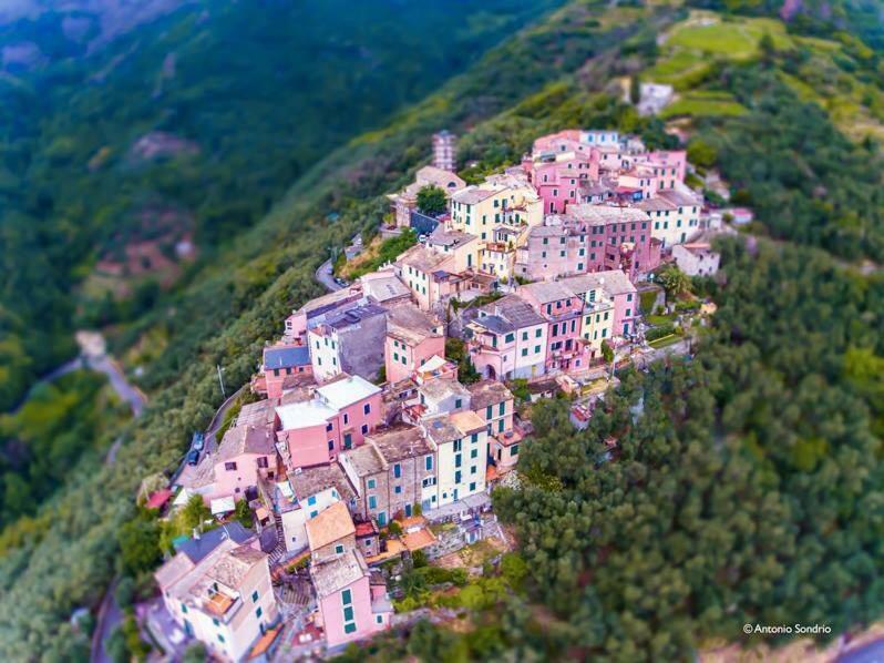 Cinqueterre - Terrace And Beautiful View Apartment Levanto Luaran gambar